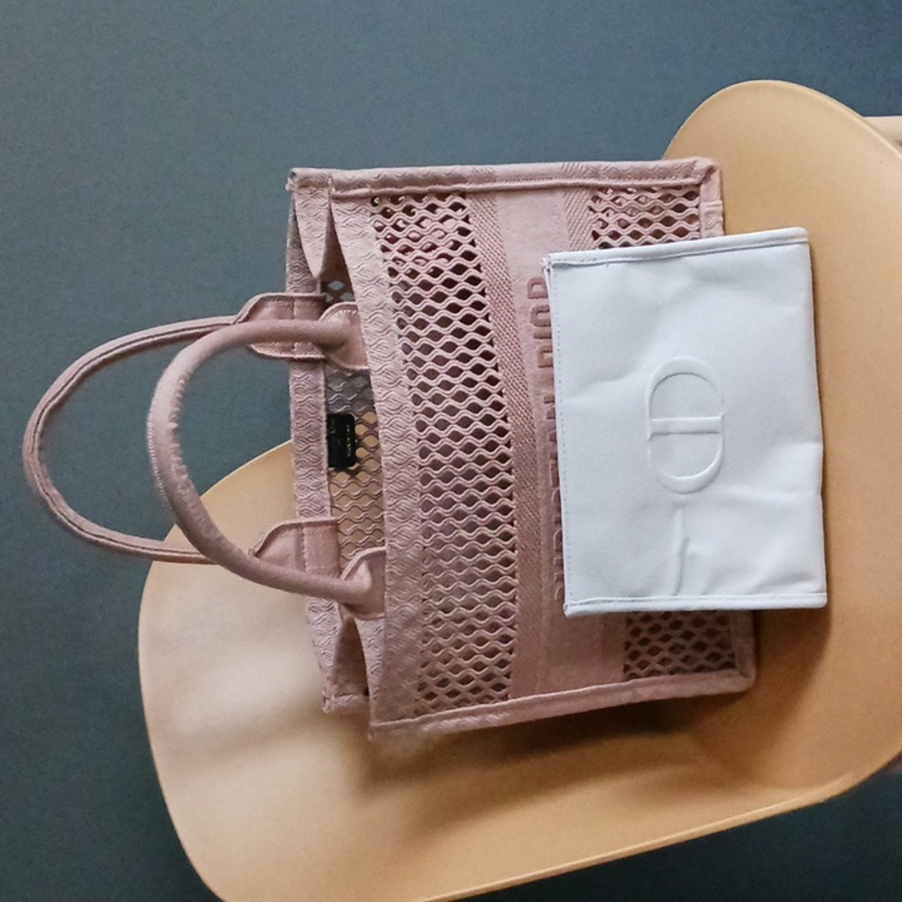Christian Dior Cosmetic Bag + Taupe Mesh Streetwear Book Bag